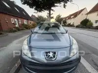 2009 Peugeot 207