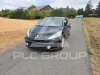 2009 Peugeot 207