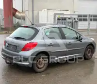2009 Peugeot 207