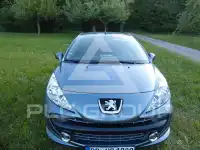 2009 Peugeot 207
