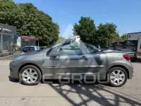 2009 Peugeot 207