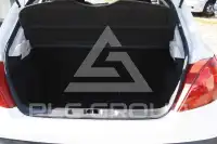 2009 Peugeot 207