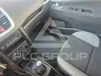 2009 Peugeot 207