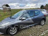 2009 Peugeot 207