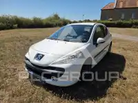 2009 Peugeot 207