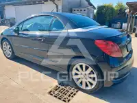 2009 Peugeot 207