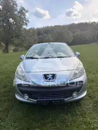 2009 Peugeot 207