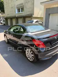 2009 Peugeot 207