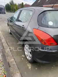 2009 Peugeot 308
