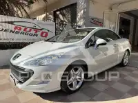 2009 Peugeot 308
