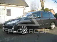 2009 Peugeot 308