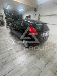 2009 Ford FIESTA
