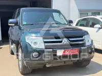 2010 Mitsubishi PAJARO