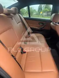 2010 BMW 316