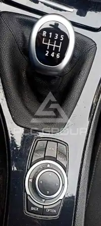 2010 BMW 316