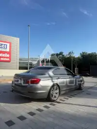 2010 BMW 528