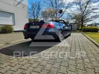 2010 BMW 320