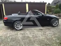 2010 BMW 320