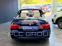2010 BMW 320
