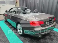 2010 BMW 320