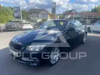 2010 BMW 320
