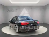 2010 BMW 320