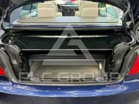 2010 BMW 320