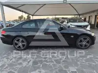 2010 BMW 320