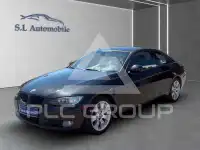 2010 BMW 320