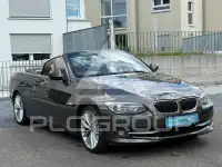 2010 BMW 330