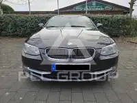 2010 BMW 330