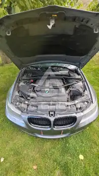 2010 BMW 330