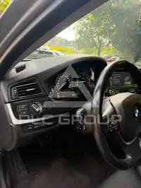 2010 BMW 520