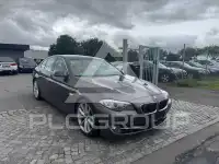 2010 BMW 520
