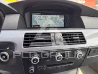 2010 BMW 520