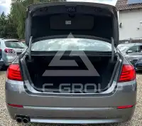 2010 BMW 520