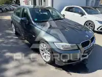 2010 BMW 318
