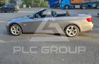 2010 BMW 318