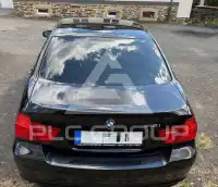 2010 BMW 318