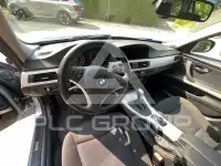 2010 BMW 318