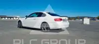 2010 BMW 318