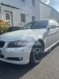 2010 BMW 318