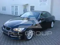 2010 BMW 318