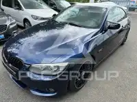 2010 BMW 318