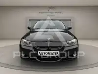 2010 BMW 318
