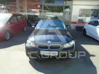 2010 BMW 318