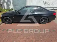2010 BMW 318