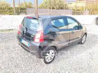 2010 Suzuki Alto