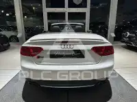 2010 Audi S5