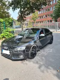 2010 Audi S5